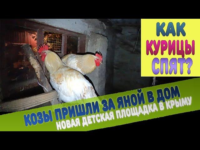 Как спят курицы ночью? Ночь в курятнике. Козы сами пришли в дом! Новая детская площадка в Крыму.