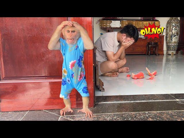 So cute funny! Thang accidentally breaks piggy bank making Luk angry