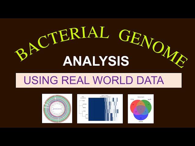 Whole Genome Sequence Analysis | Bacterial Genome Analysis | Bioinformatics 101 for Beginners