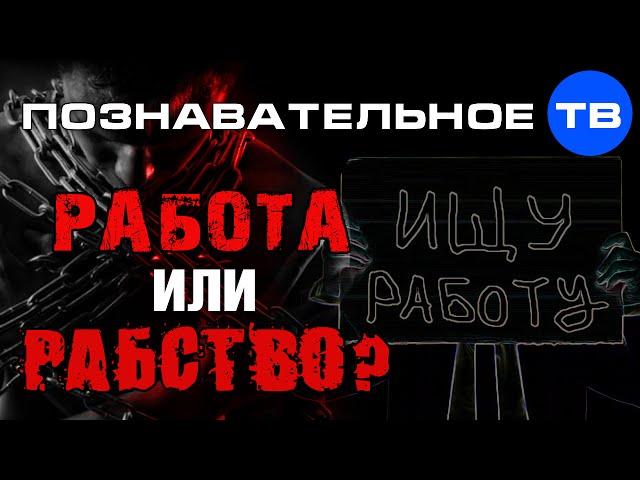 Работа или рабство? (Познавательное ТВ, Наталья Манежева)