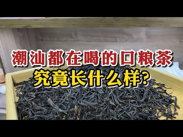 整个潮汕都在喝的口粮茶，究竟长什么样？不算贵却很体面