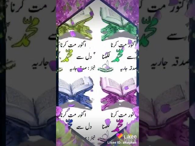 SHAIK IMRAN BASHA