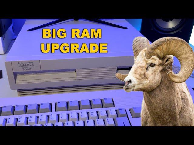 This Is Dumb. Why So Much? A3000 RAM-O-GANZA!!