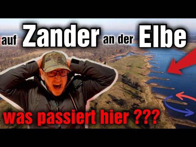 𝐖𝐚𝐬 𝐩𝐚𝐬𝐬𝐢𝐞𝐫𝐭 𝐡𝐢𝐞𝐫 ?  Ein verrückter Angeltag an der Elbe 