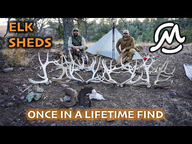 LOADED DOWN W/ ELK SHEDS | Once in a lifetime find!
