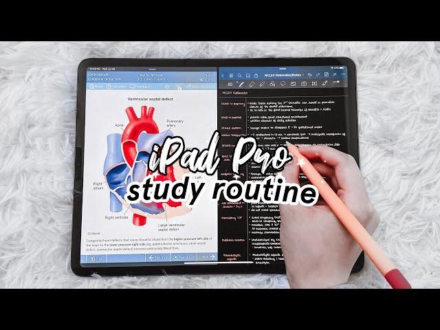 My effective study routine (2020) ️