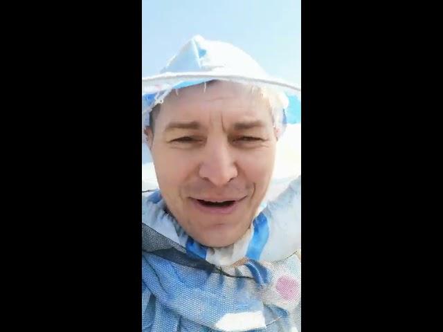ревизия на пасеке и наващивание рамок