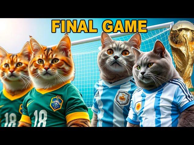 EPIC CATS KITTENS WORLD CUP FINAL FOOTBALL GAME! ARGENTINA VS BRAZIL