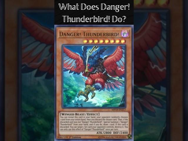 What Does Danger! Thunderbird! Do? (Yugioh Cards Explained for Easy Deck Building)