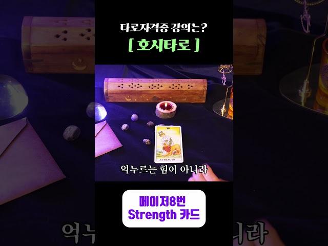 [타로카드 배우기] 메이저8번 Strength 힘 카드! (스토리텔링) #shots #타로배우기