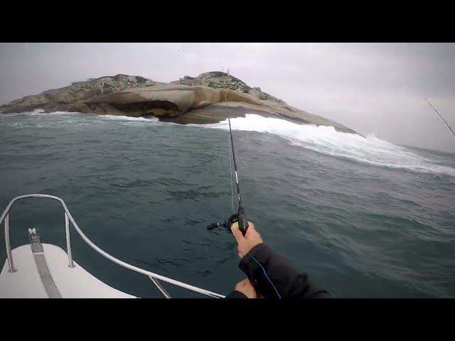 ANCHOVAS NA ILHA DOS LOBOS NO PINCHO (ARREMESSO) COM MICROJIG