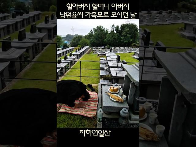 #지장보살님 극락세계에서 오손도손 행복할 수 있도록 보살펴주세요! 남원윤씨 가족묘를 마련하고 할아버지 할머니 아버지를 모시던 날~~