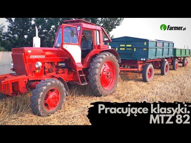 Pracujące klasyki: MTZ 82 | Farmer.pl