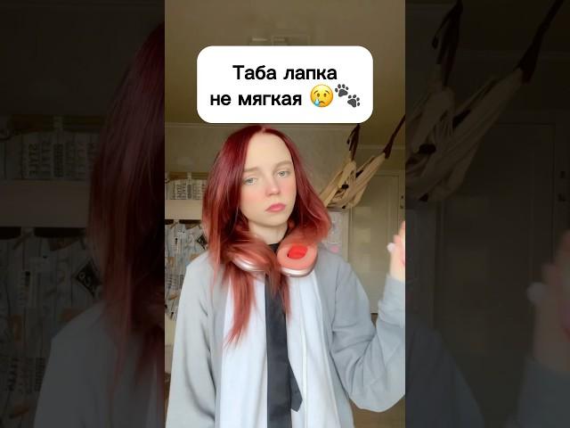 Таба лапка не мягкая  #табалапка #лапка #топ #сквиш #виолави