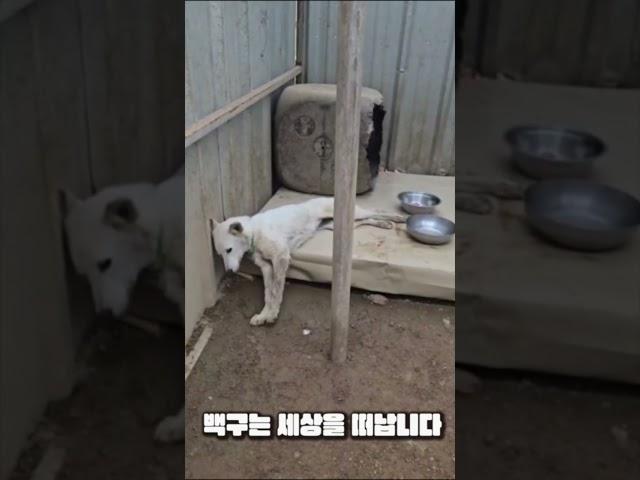 마지막 음식은 물 한모금이 전부였습니다( 고정댓글 참조)