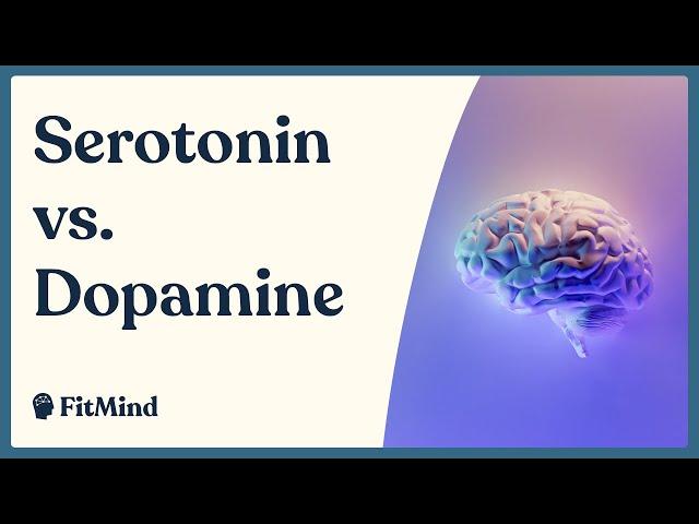 Serotonin vs. Dopamine - 7 Key Differences Between Pleasure and Happiness