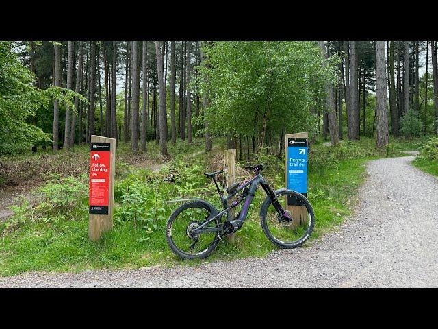 Cannock Chase 23rd May 2023 - Perry's Trail and Follow The Dog