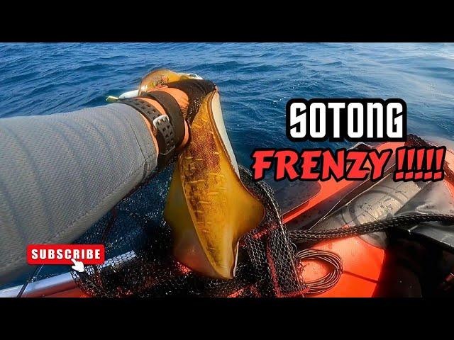 SOTONG FRENZY/SOTONG NGABANG UNJAM.INFLATABLE BOAT FISHING#vlog137 #unlimitedfishing #unlimitedhobby