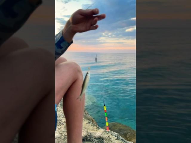 Рыбалка на Иссык-куле. Ловим чебака. #gofishing #fishing #форель #чебак #чебачёк #рыбалка