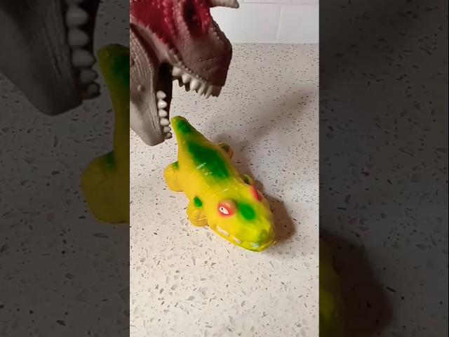 Dino and Coco #funny #squishy #memes #cute #baby #toys #viral #trend #toys