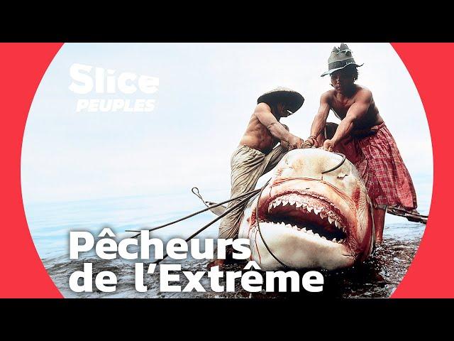 Chasseurs de requin-tigre géant | SLICE PEUPLES