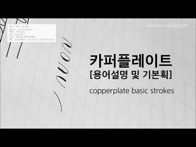 카퍼플레이트 기본 용어 및 기본획 copperplate basic strokes [새순캘리그라피]