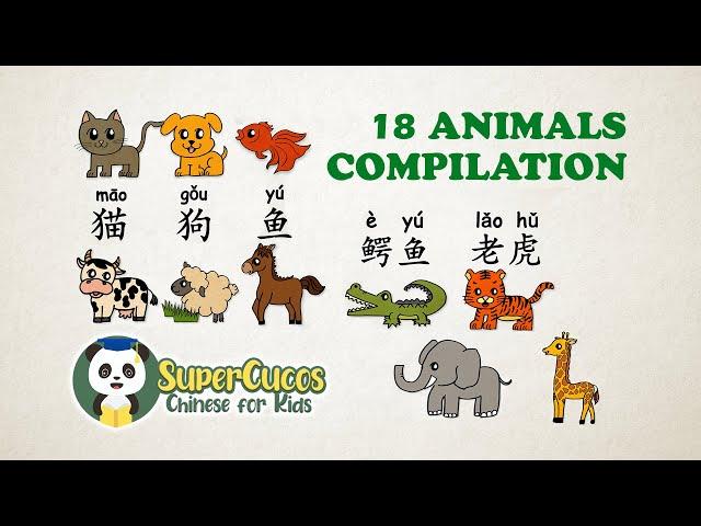 学中文-动物合辑 | Learn Chinese for kids - Animals Compilation | Aprender Chino - Recopilación de animales