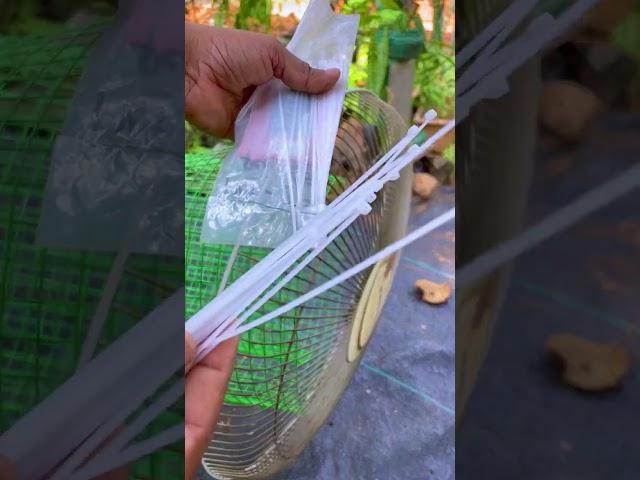 Hello kids out there you can try making an easy bird cage at home on vacation #youtubeshorts #shorts