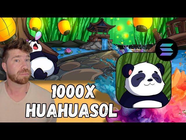 $HUAHUA on Solana, a Hidden 100x Gem