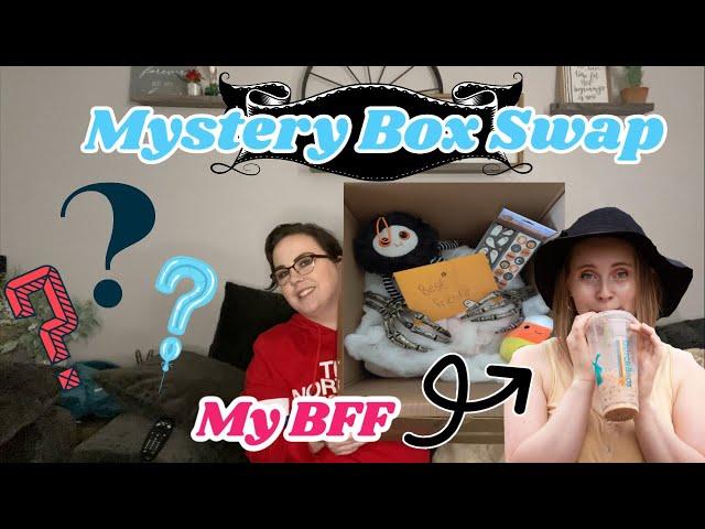 MYSTERY BOX SWAP WITH MY BEST FRIEND | Shelby Elizabeth | COLLAB