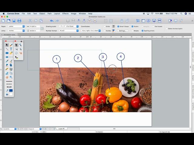 Canvas X Draw - What's New in Canvas Draw 6