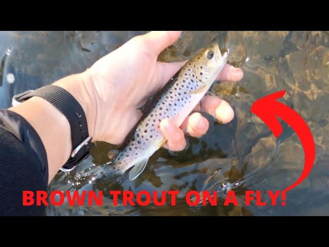 Fly Fishing BROKEN BOW for Huge trout!! I Max Moore Fishing