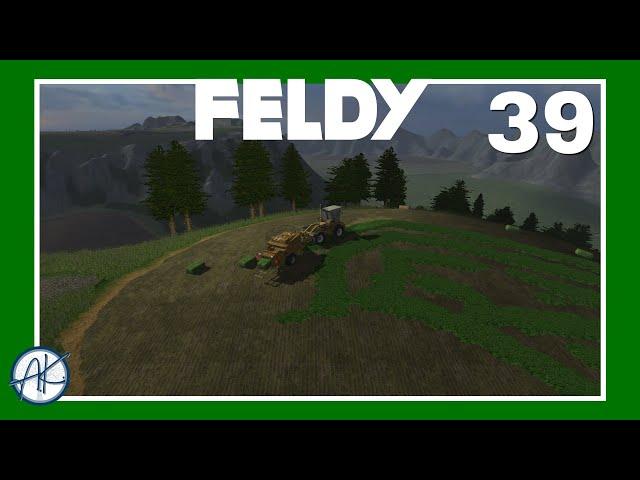 Let's Play | FS '11 | Feldy 39