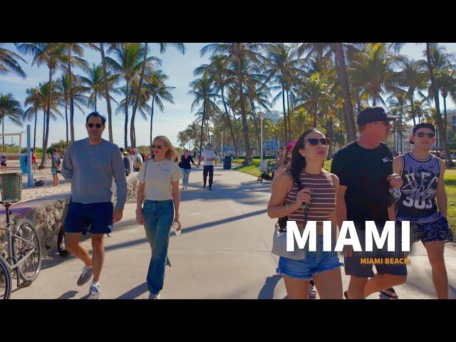 Miami Beach is the BEST Winter ESCAPE You Never Knew You Needed!