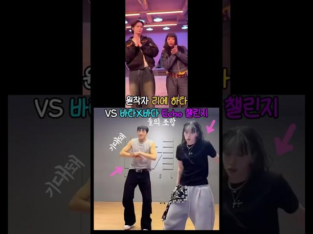 바다 X 바타 Echo 에코 챌린지 댄스 커버: 리에하타 안무 비교 #shorts #wswf #리에하타 #riehata