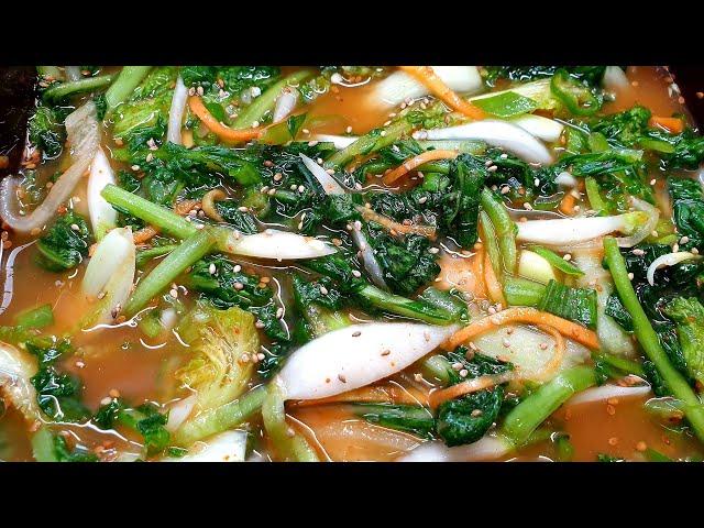 속까지 시원~열무얼갈이 물김치간단하지만 깊은 맛! | 아삭한 여름 물김치, 열무 얼갈이 물김치 레시피
