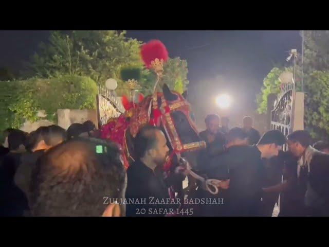 Zuljanah Zafar badshah || Barmadagi Johar Town Lahore 20 safar || #zuljanah #imamhussain #badshah
