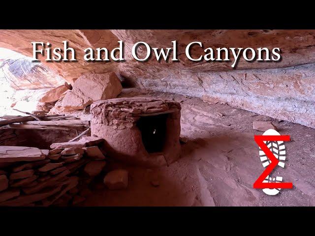 Fish and Owl Canyons; backpacking and finding cliff dwellings; Cedar Mesa, Utah