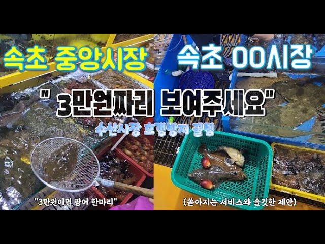 강원도 수산시장에서 호갱 안당하는 방법 ( feat. 속초 중앙시장 가격비교)