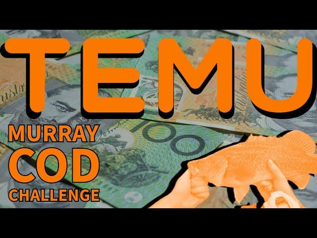 TEMU $100 Murray Cod Fishing Challenge – Can Budget Gear Handle It?