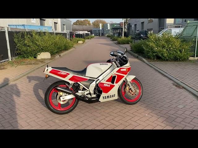 YAMAHA TZR250 FOR SALE: walkaround