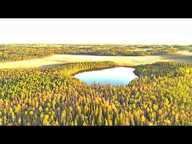 ТАЙГА! ДИКИЕ ОЗЕРА! ЩУКИ НА КАЖДЫЙ ЗАБРОС! НЕЗАБЫВАЕМАЯ РЫБАЛКА!