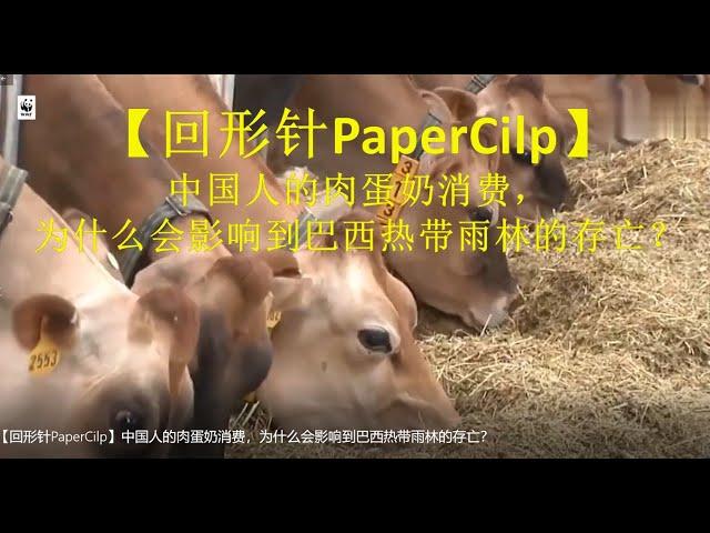 【回形针PaperCilp原视频】中国人的肉蛋奶消费，为什么会影响到巴西热带雨林的存亡？