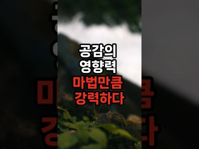 공감의 영향력은 마법만큼 강력하다