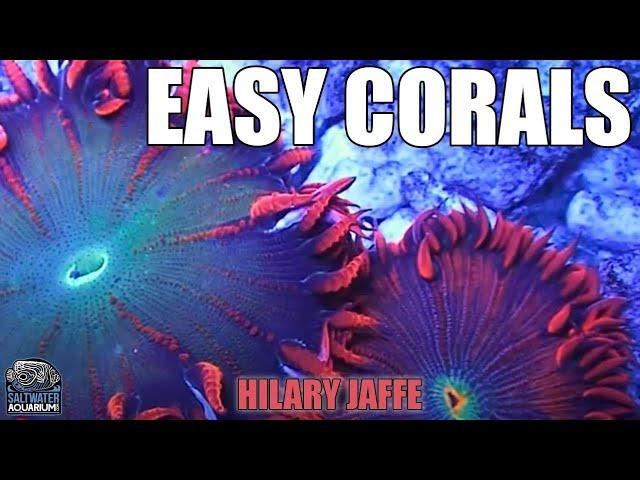 SOFT CORALS - Easy, Low Maintenance, Hardy Corals For Beginners - Hilary Jaffe