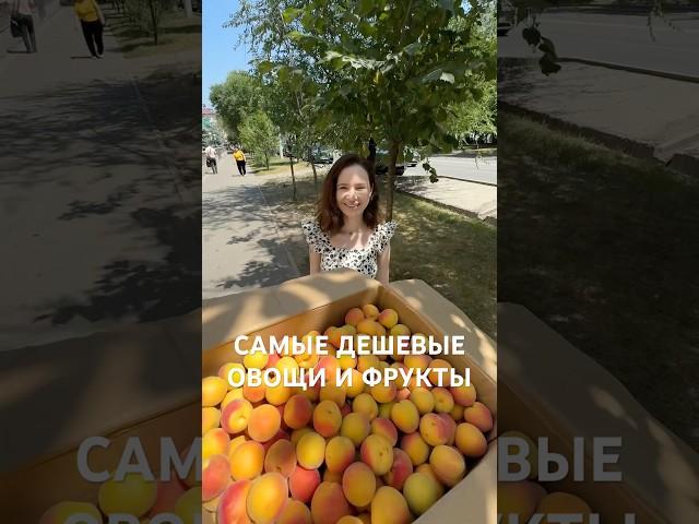 Как вам цены?