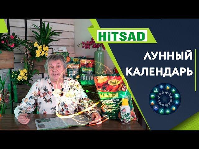 Не верьте в Лунный Календарь Посадок  ️ Календарь садовода