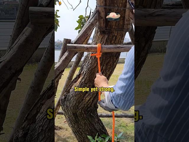 Master the Hitch Knot – A Quick, Easy, and Secure Solution for Tying Rope!