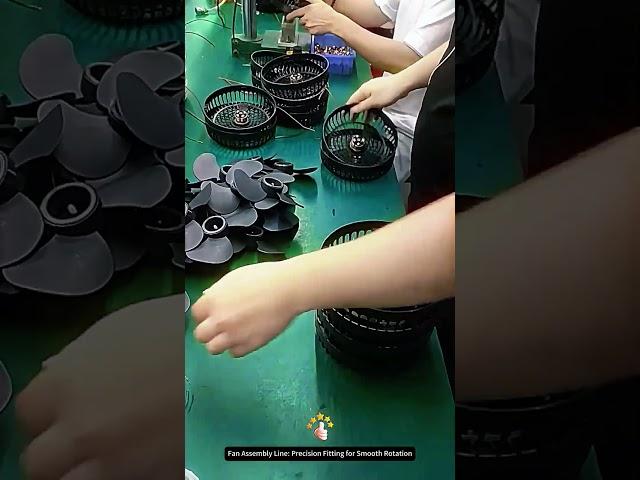 Fan Assembly Line: Precision Fitting for Smooth Rotation
