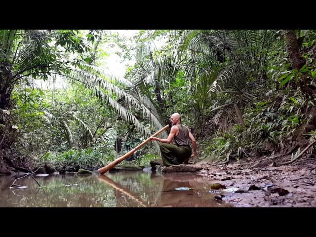 "Ayahuasca Ode" by Zelday Karssen